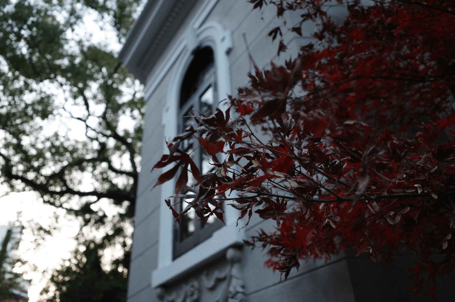 image-20251207010108300