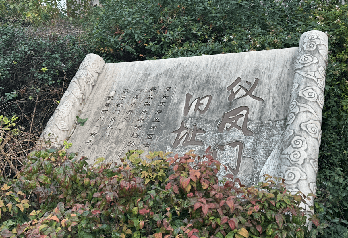 image-20251209161459668