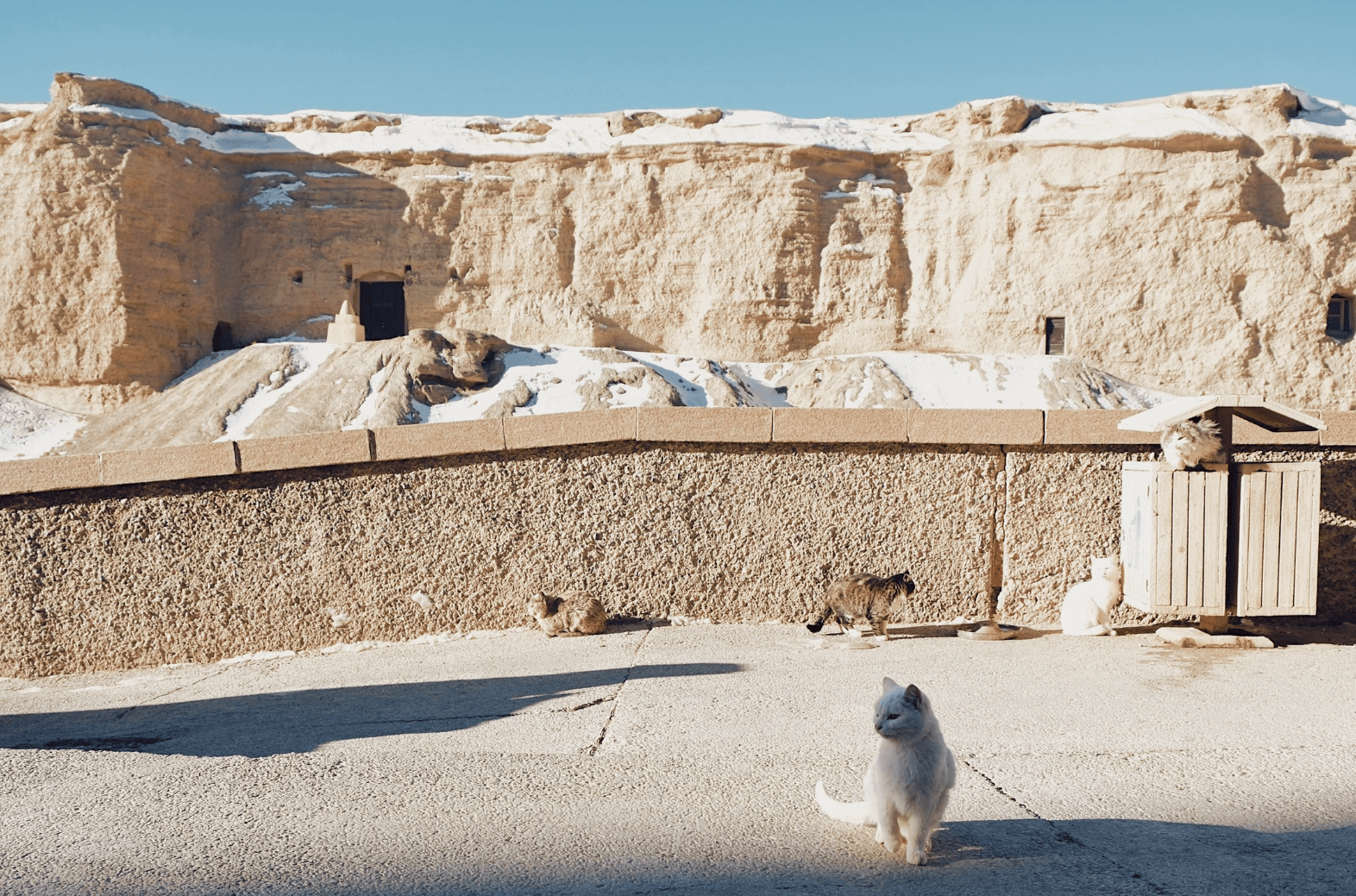 image-20251221151018655