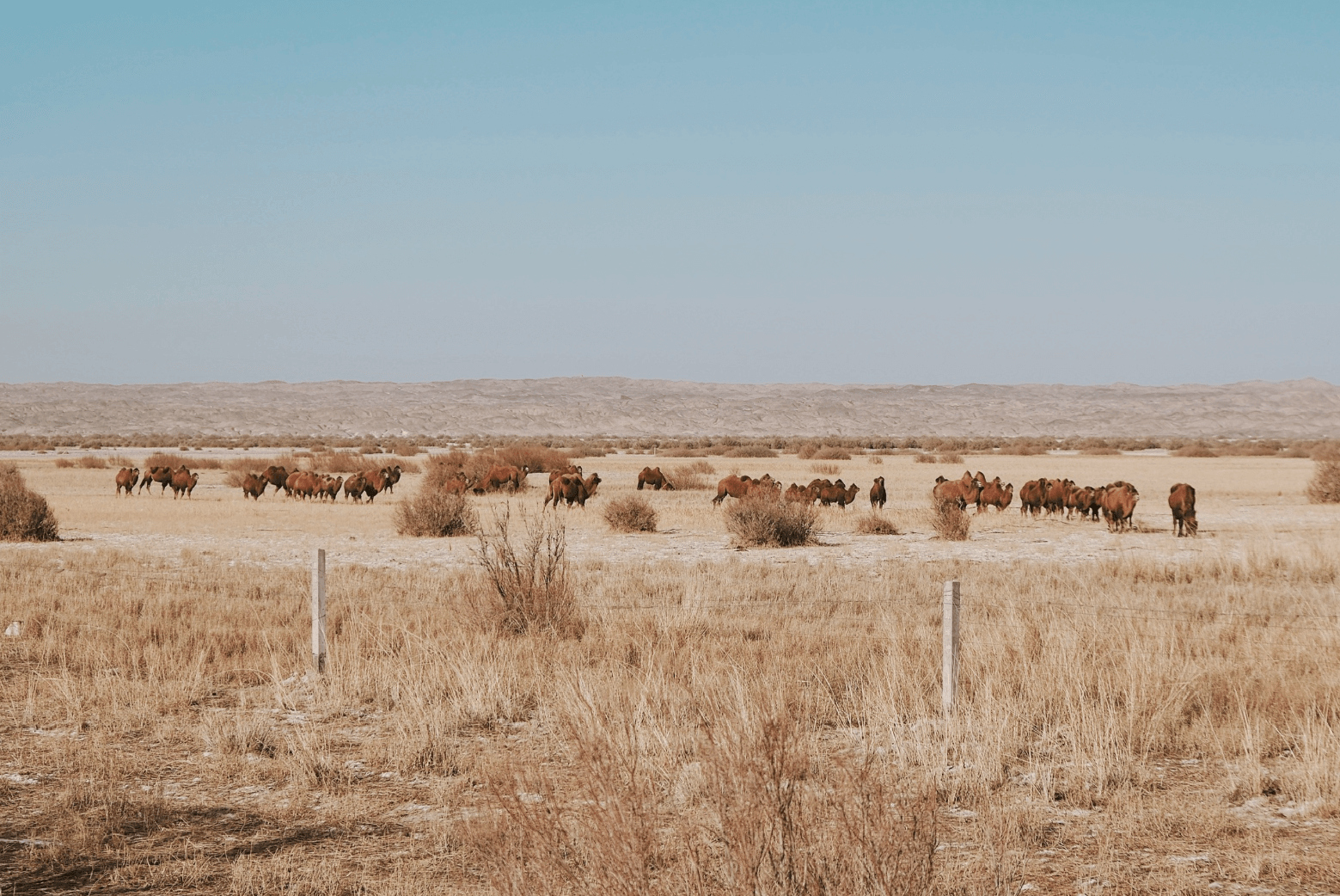 image-20251221191805548