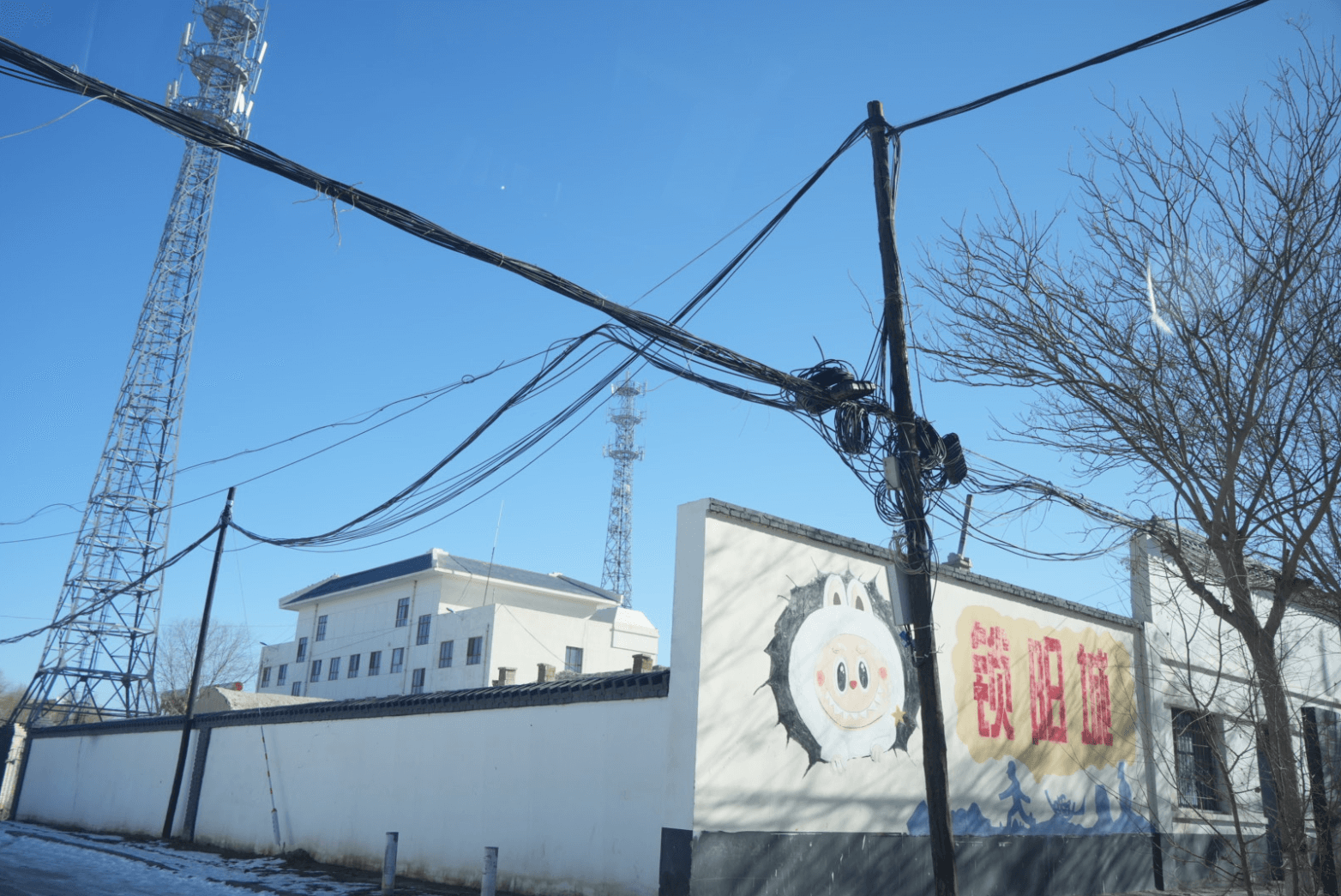 image-20251221193958582