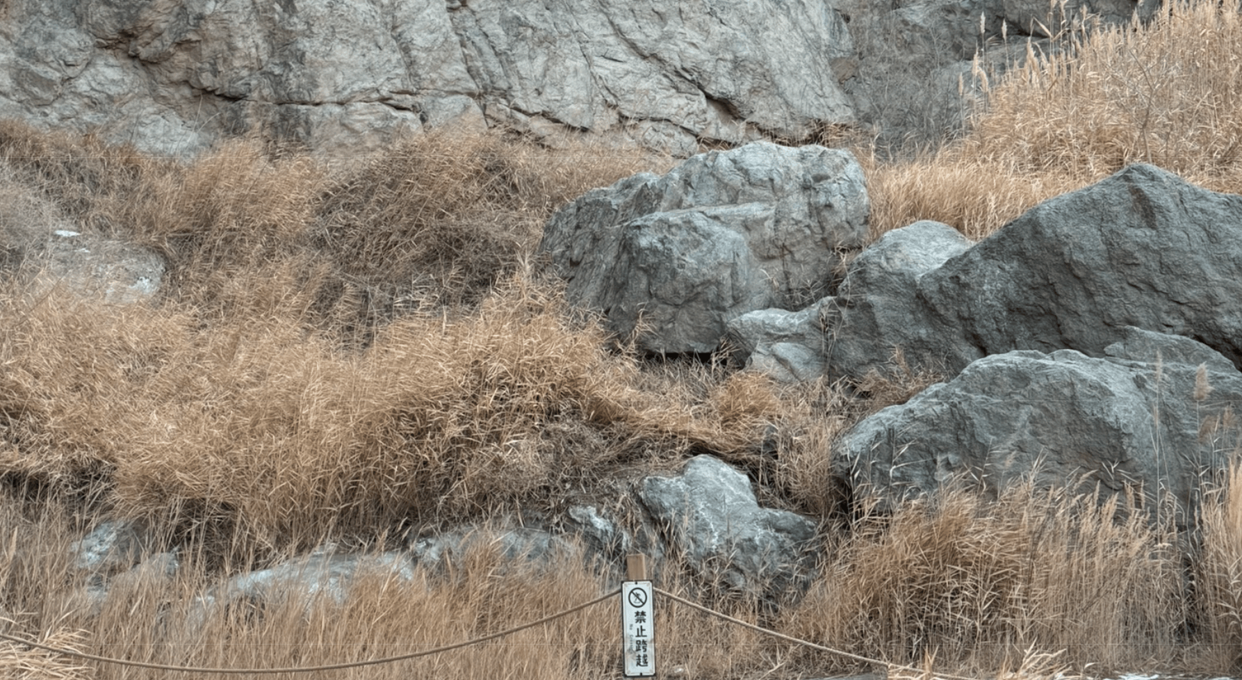 image-20251221223639008